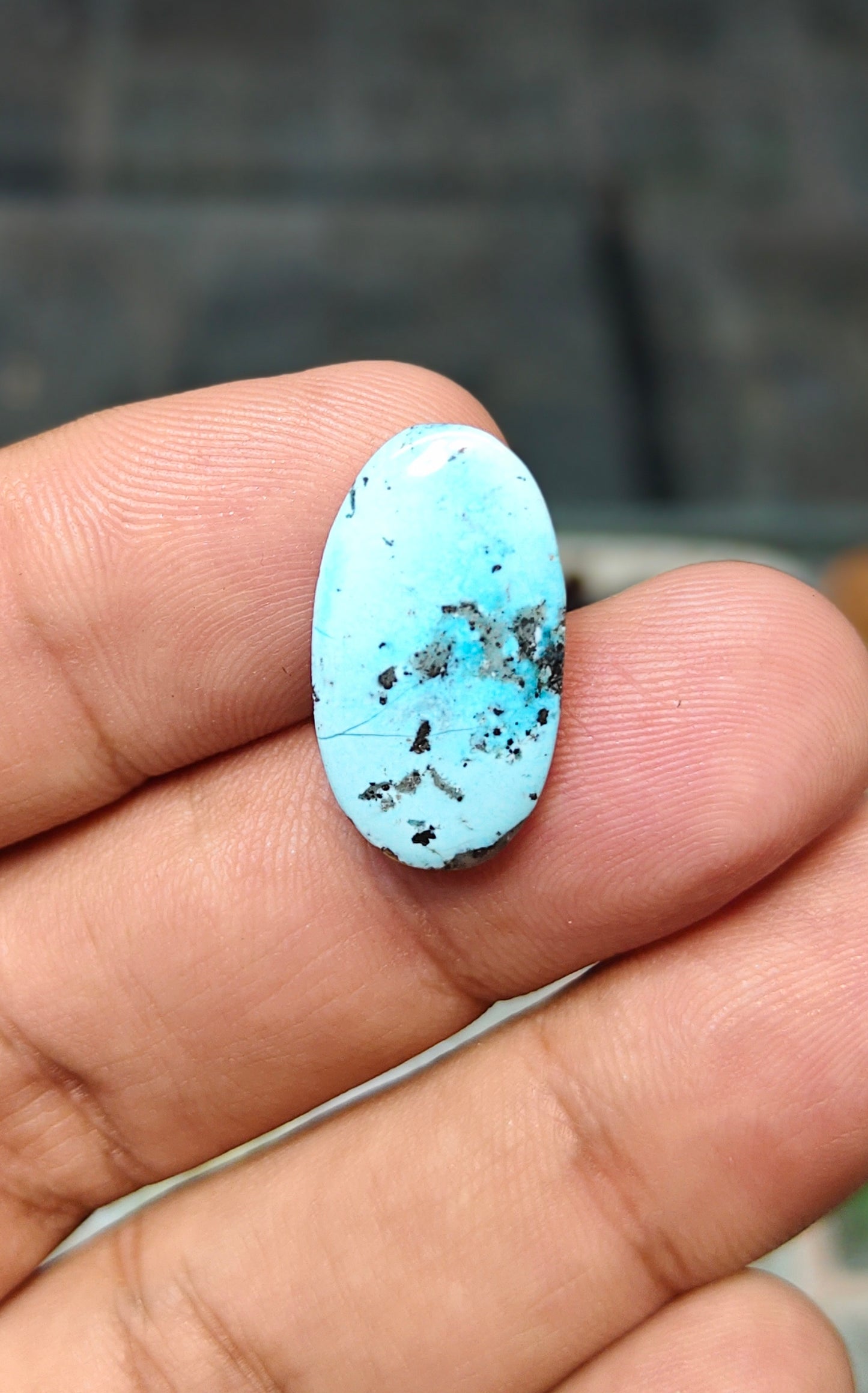 Nisha Puri Feroza (Sona Patti)