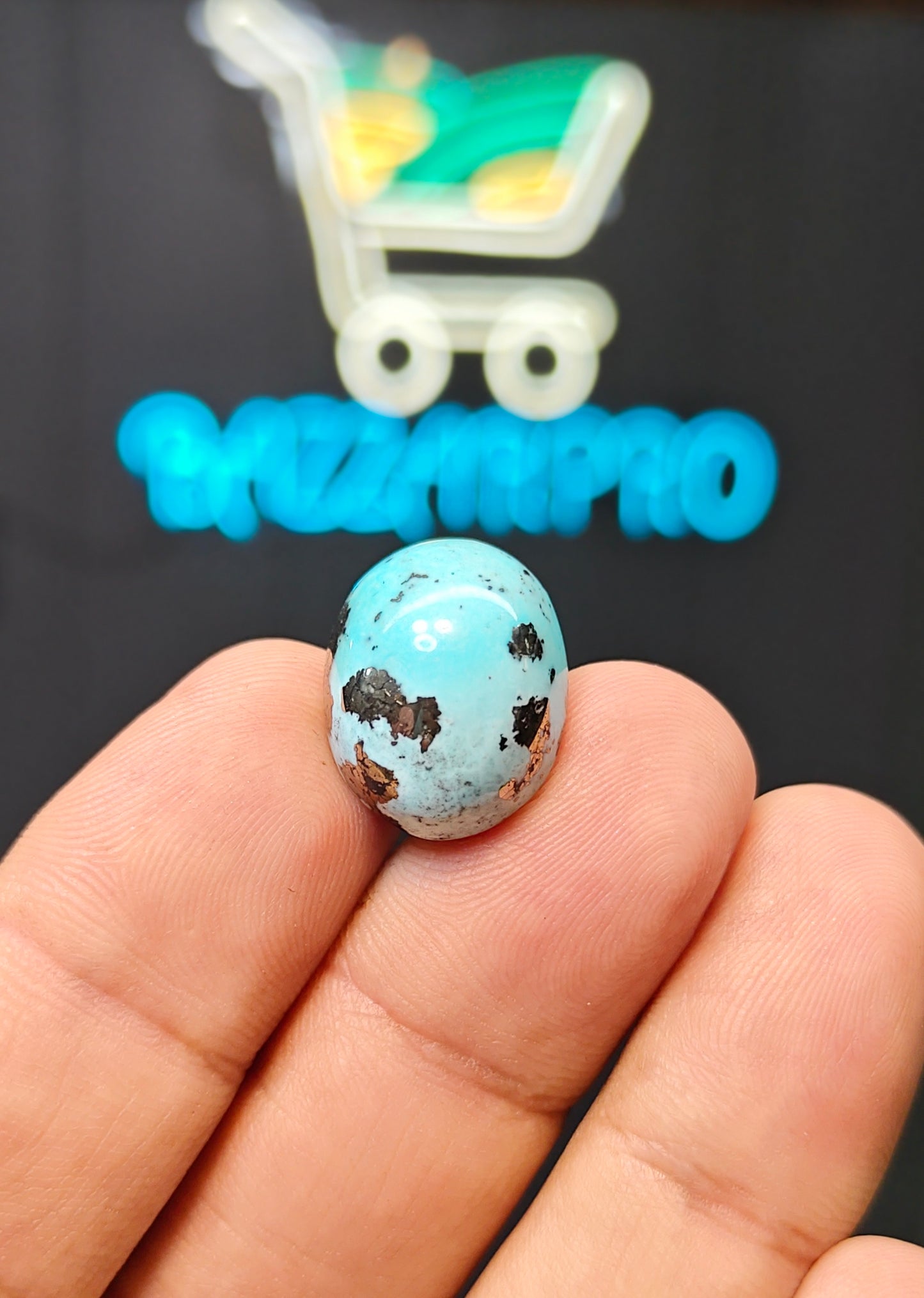 Nisha Puri Feroza (Sona Patti)