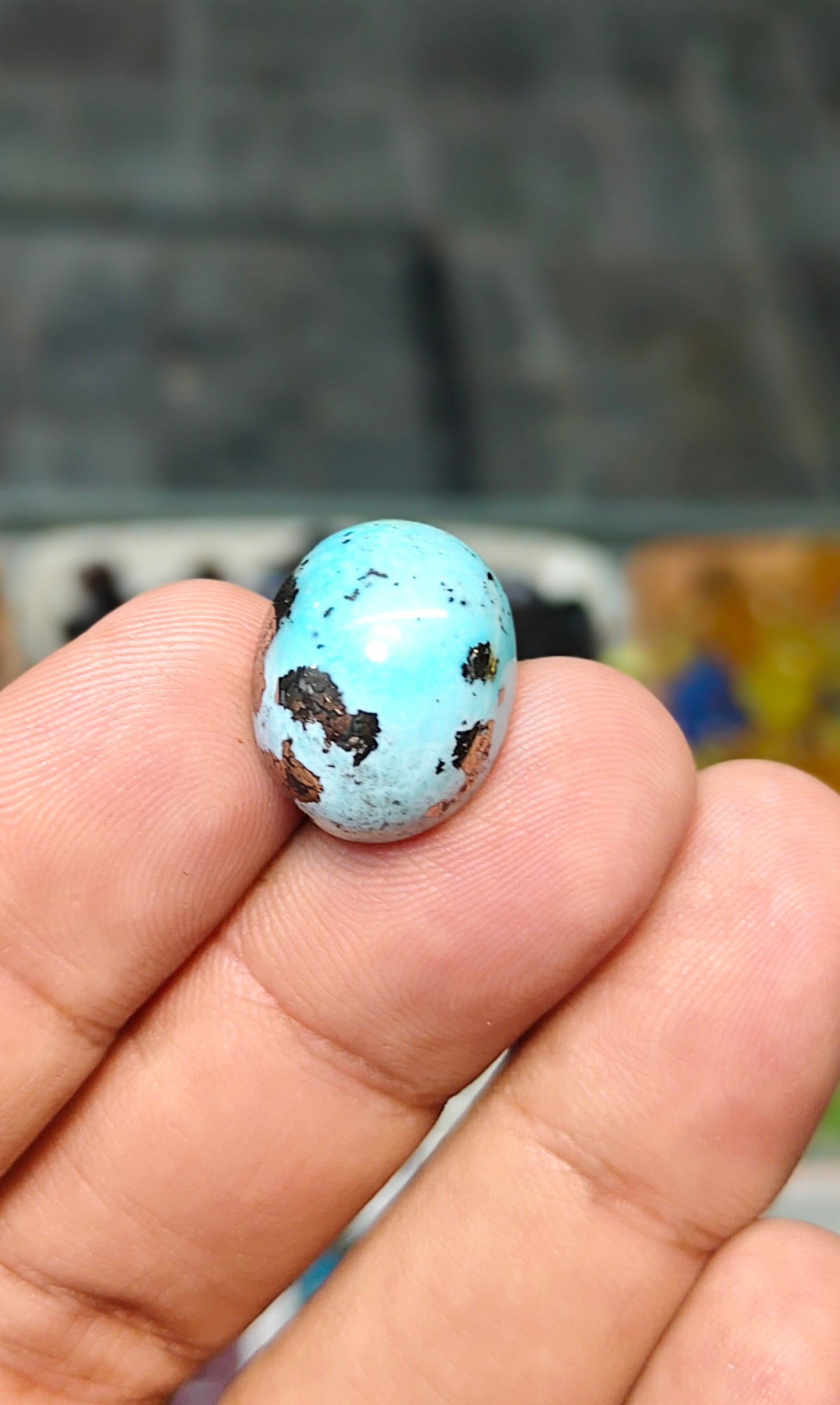 Nisha Puri Feroza (Sona Patti)