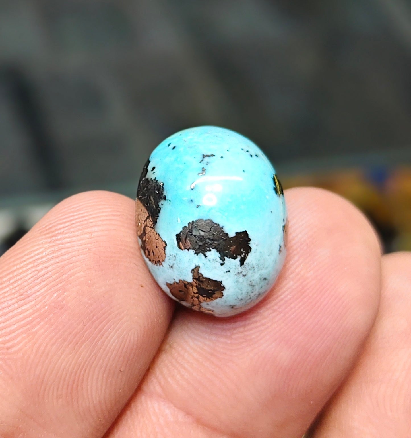 Nisha Puri Feroza (Sona Patti)