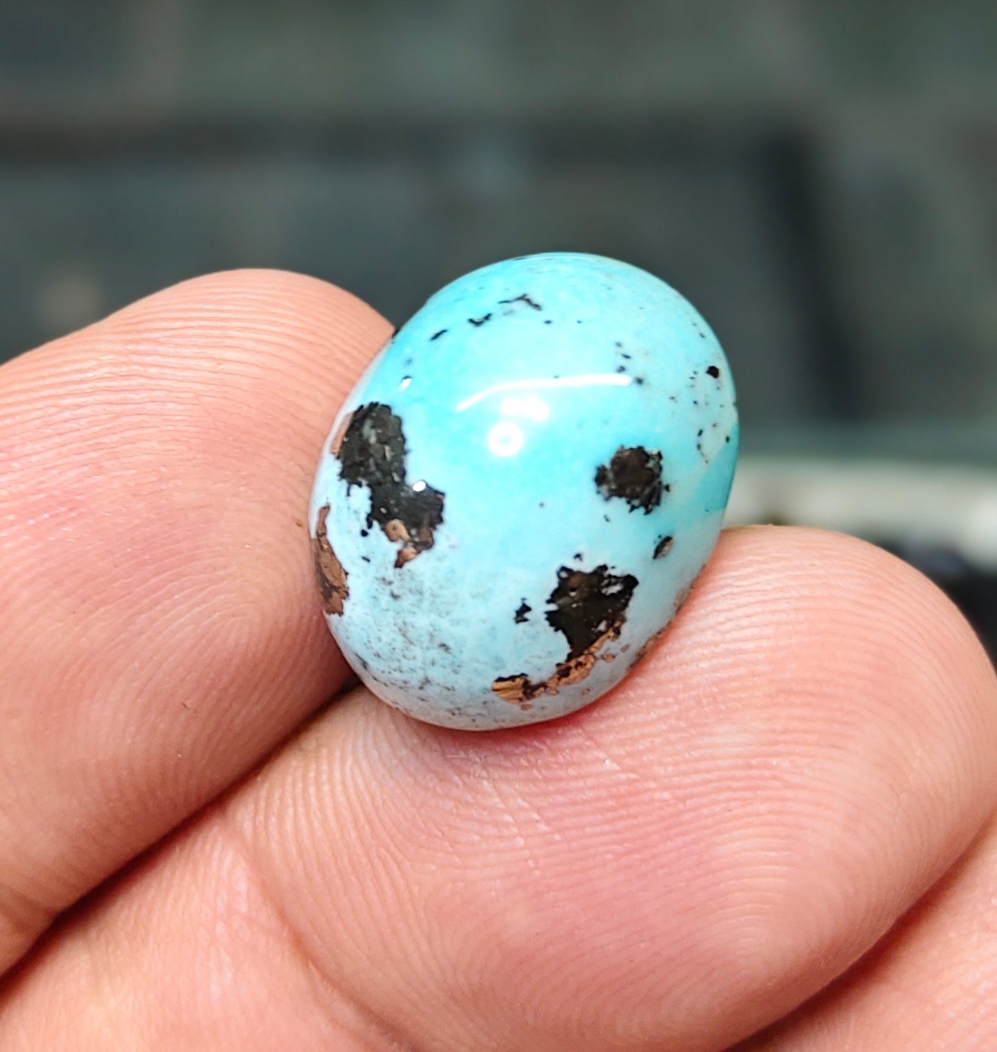 Nisha Puri Feroza (Sona Patti)