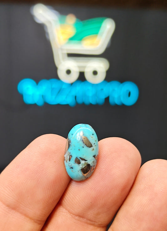 Nisha Puri Feroza (Sona Patti)