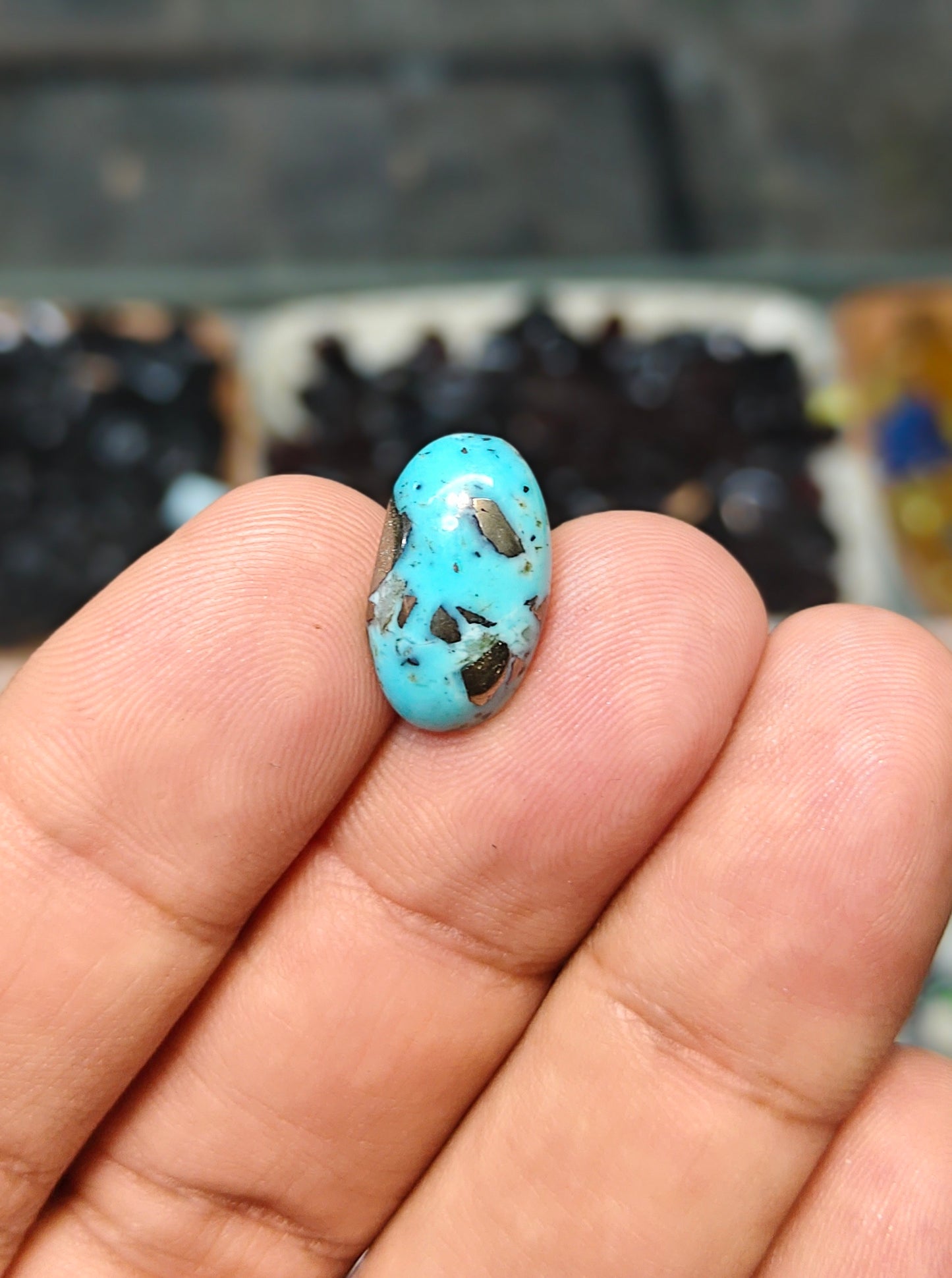 Nisha Puri Feroza (Sona Patti)