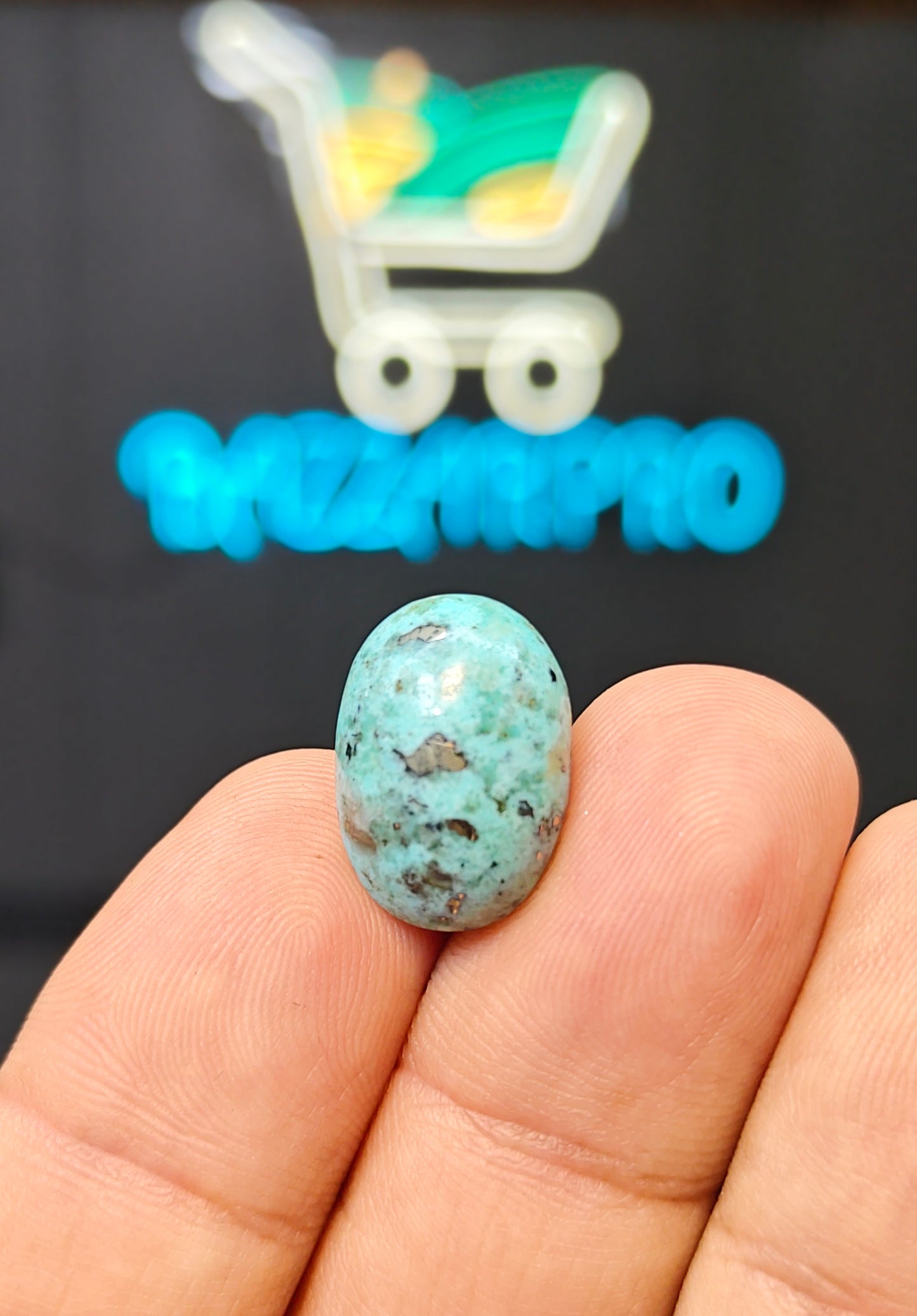 Nisha Puri Feroza (Sona Patti)