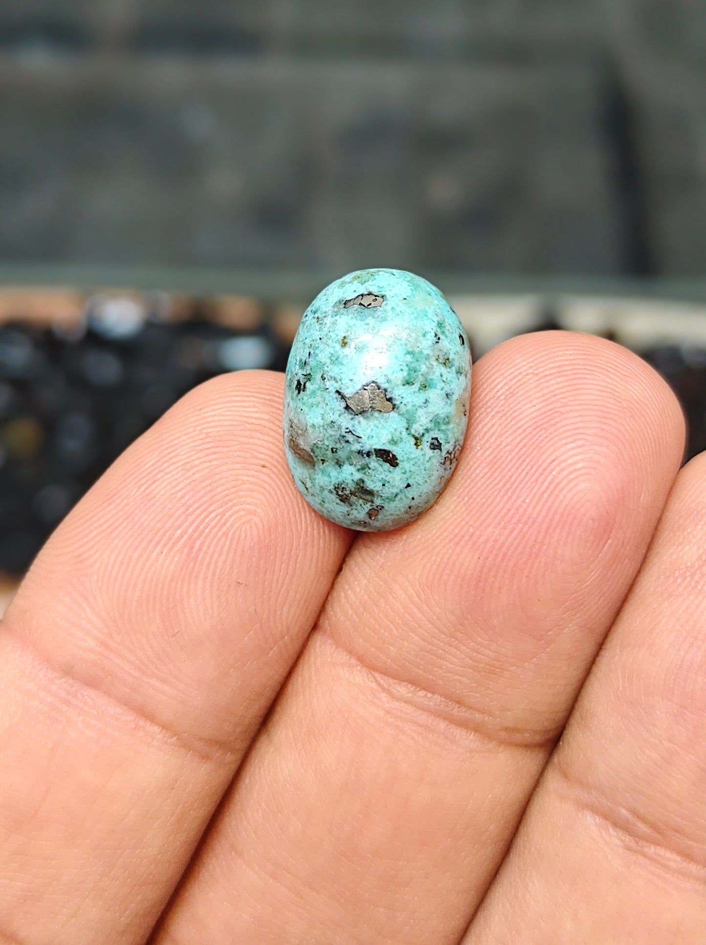 Nisha Puri Feroza (Sona Patti)