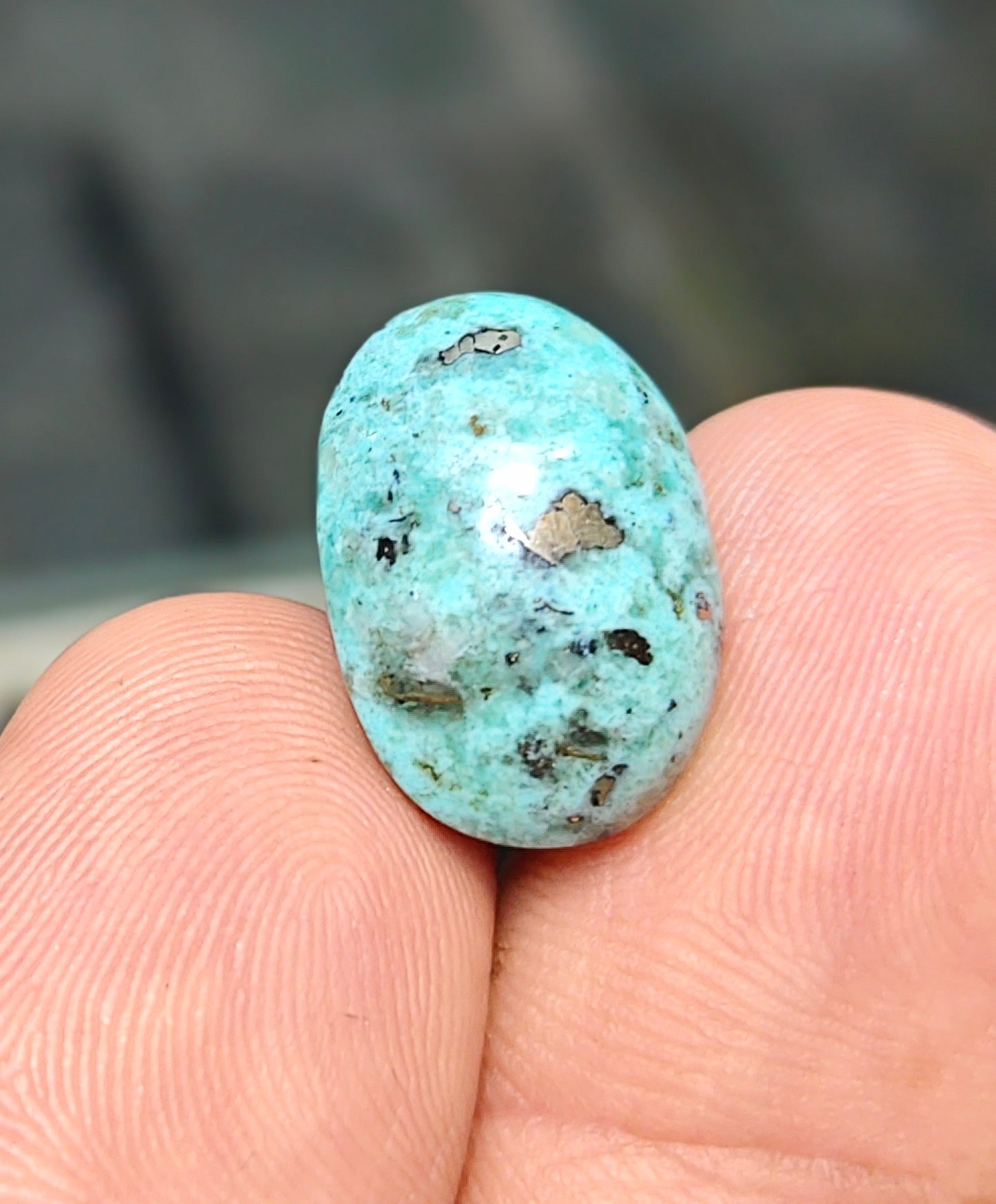 Nisha Puri Feroza (Sona Patti)