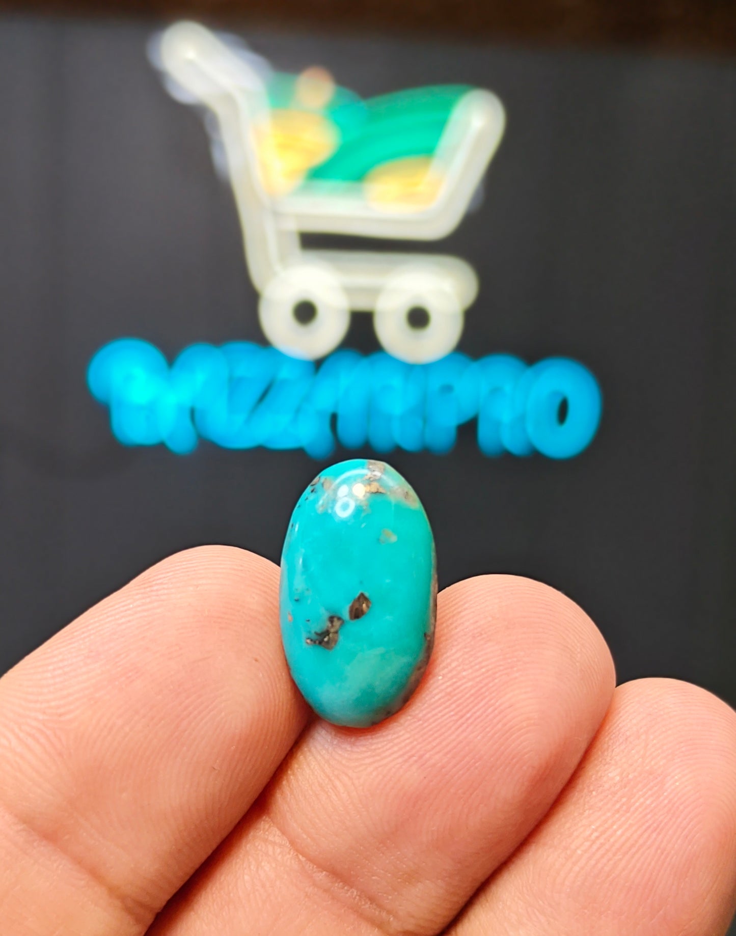 Nisha Puri Feroza (Sona Patti)