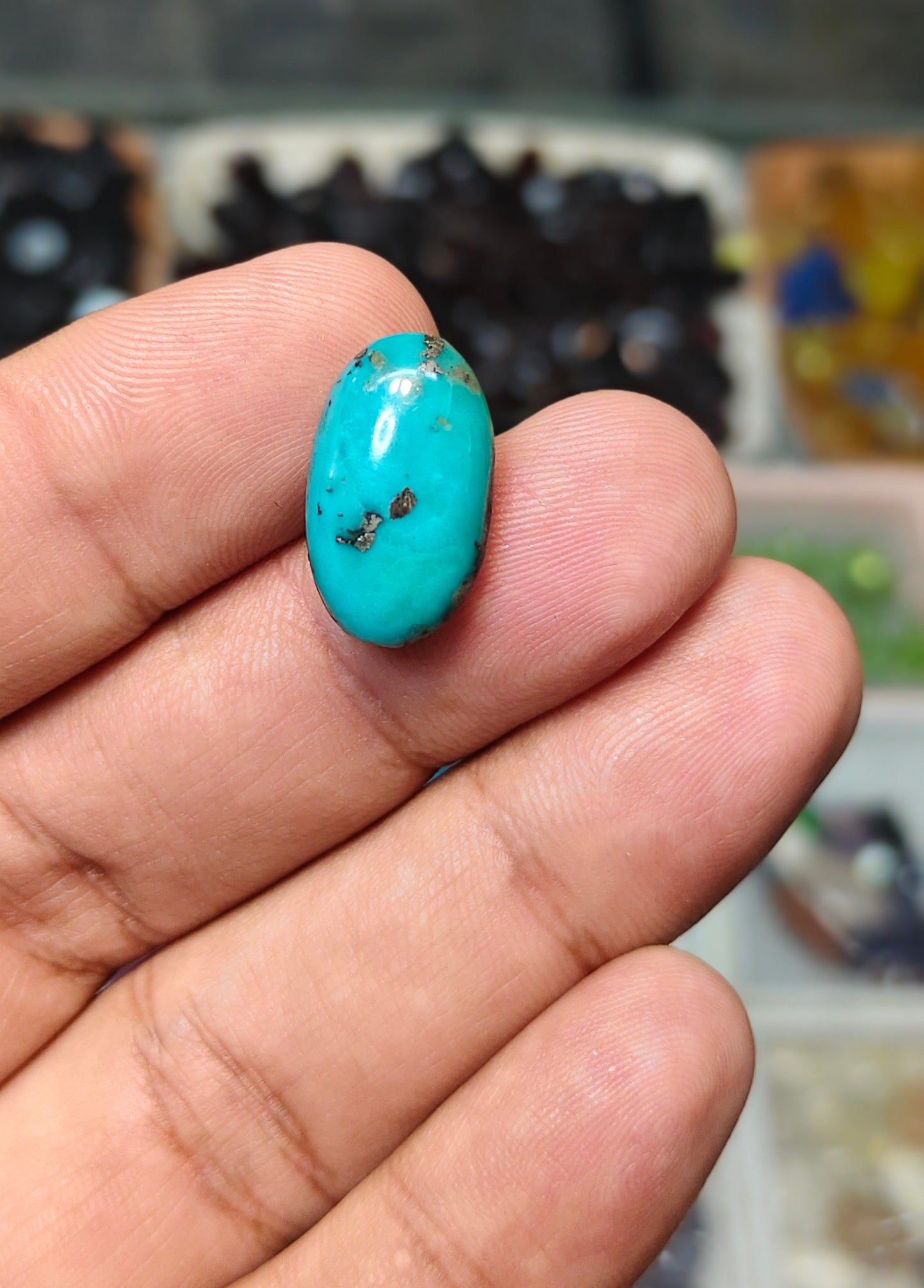 Nisha Puri Feroza (Sona Patti)