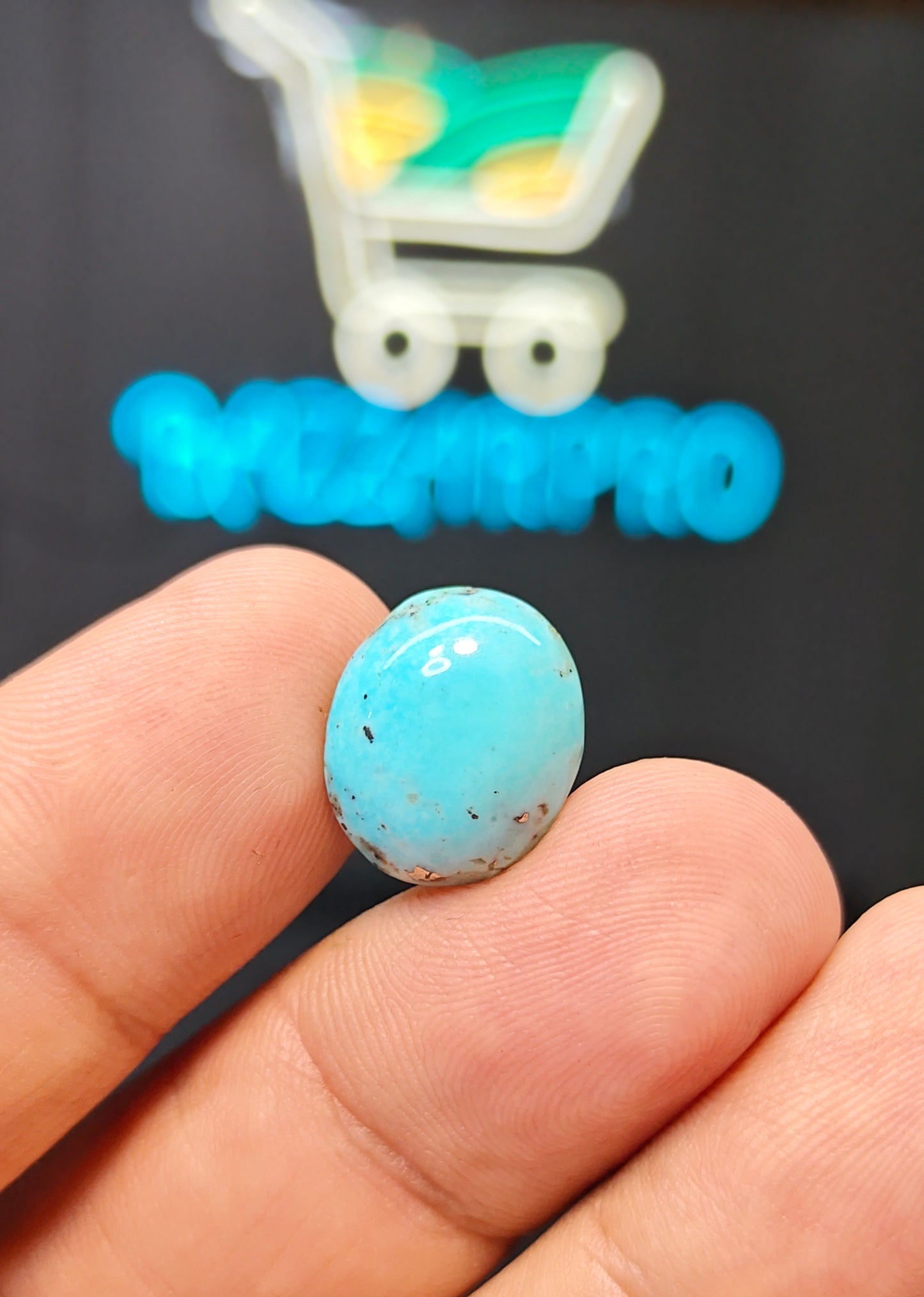 Nisha Puri Feroza (Sona Patti)