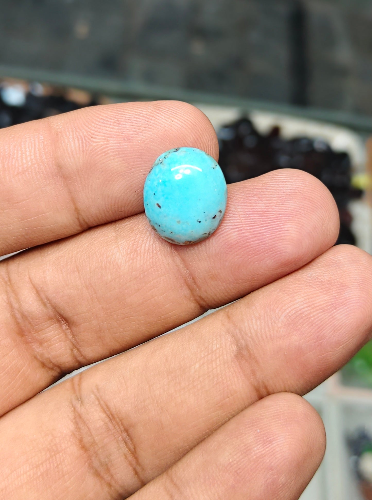 Nisha Puri Feroza (Sona Patti)