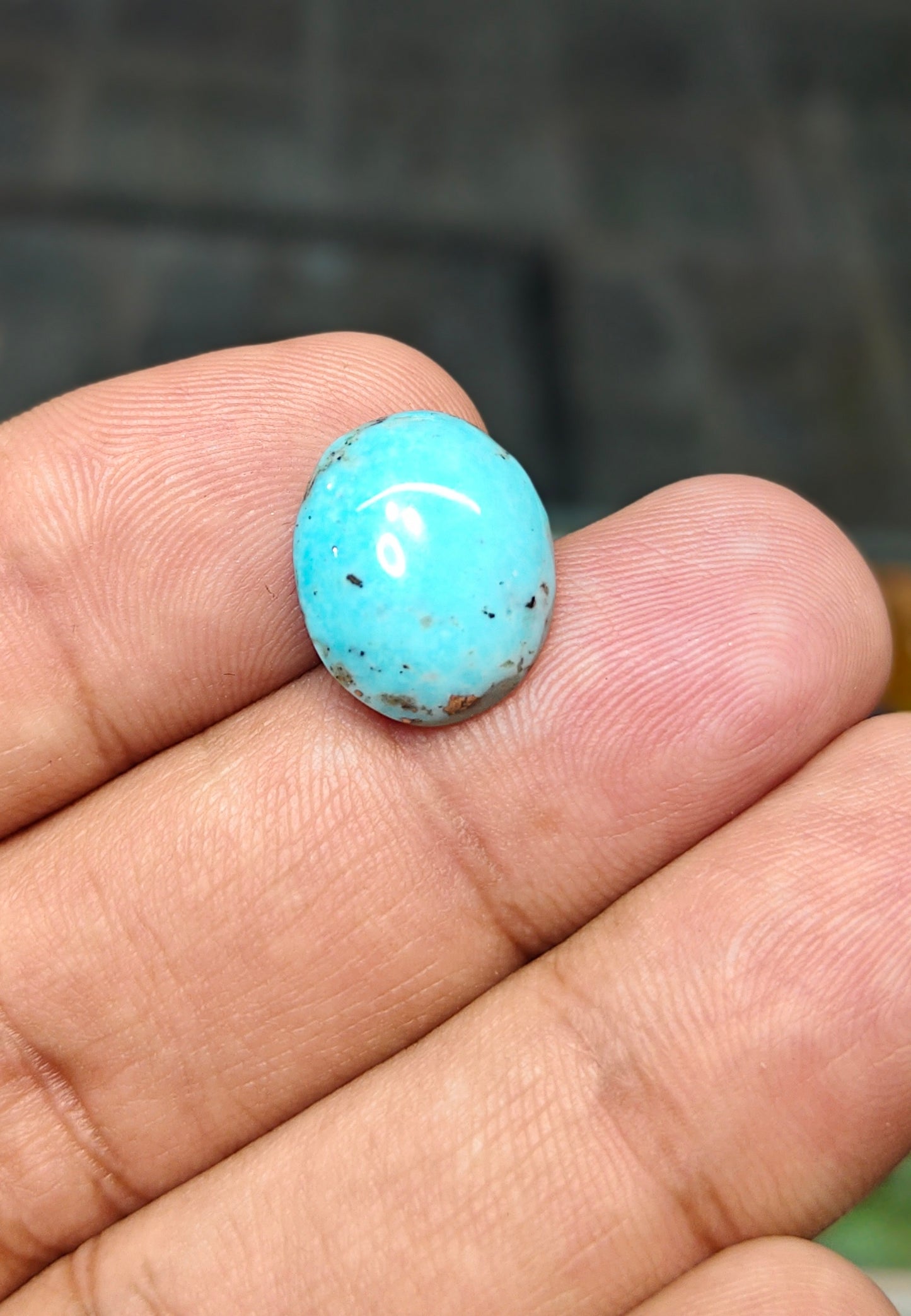 Nisha Puri Feroza (Sona Patti)