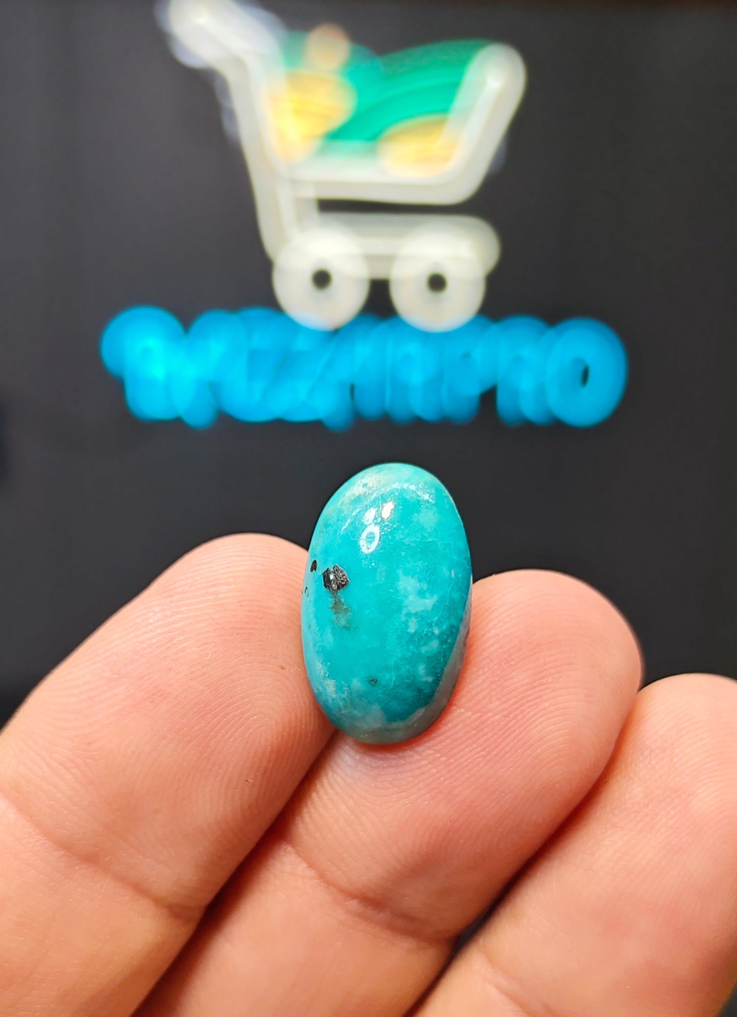 Nisha Puri Feroza (Sona Patti)