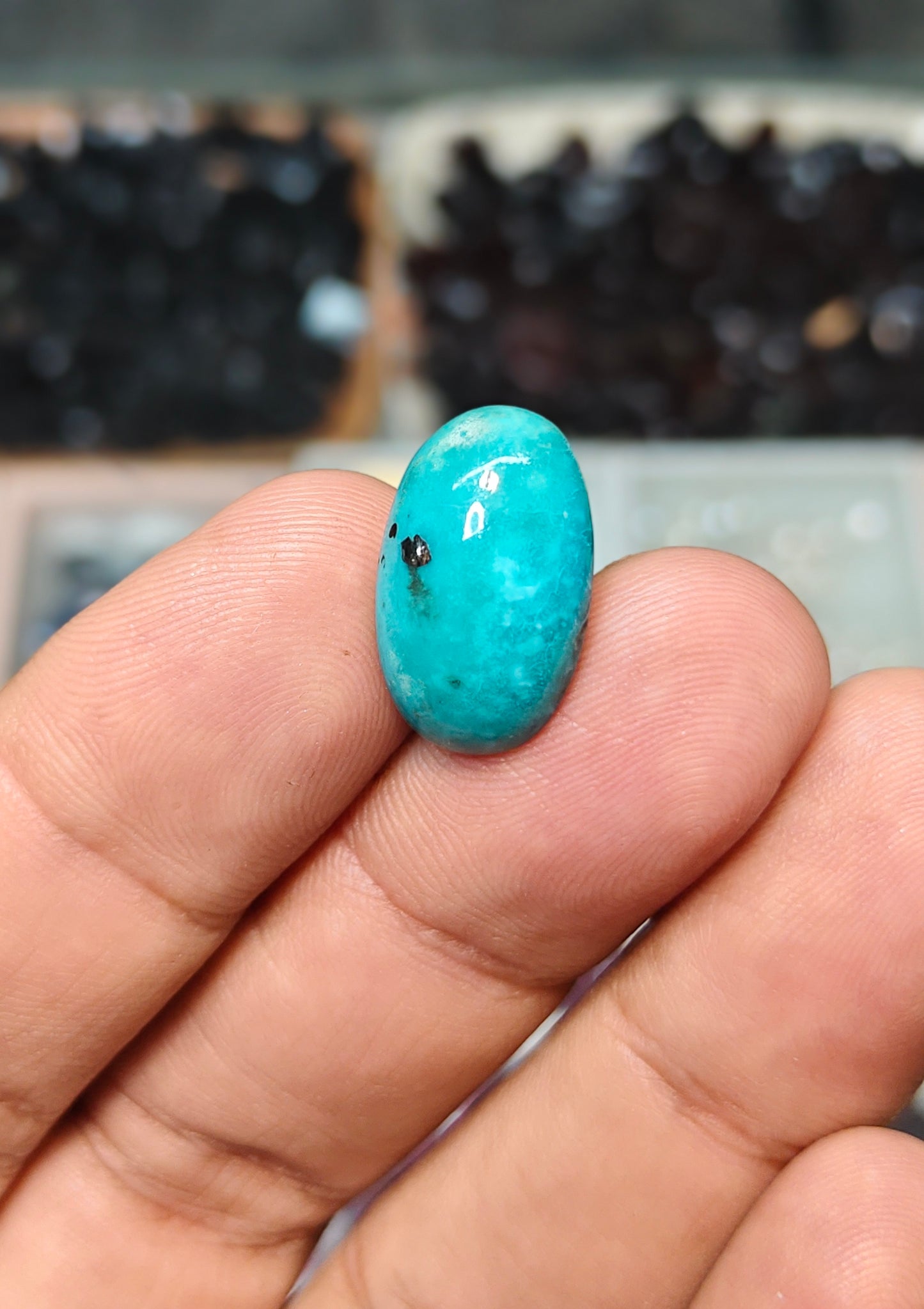 Nisha Puri Feroza (Sona Patti)