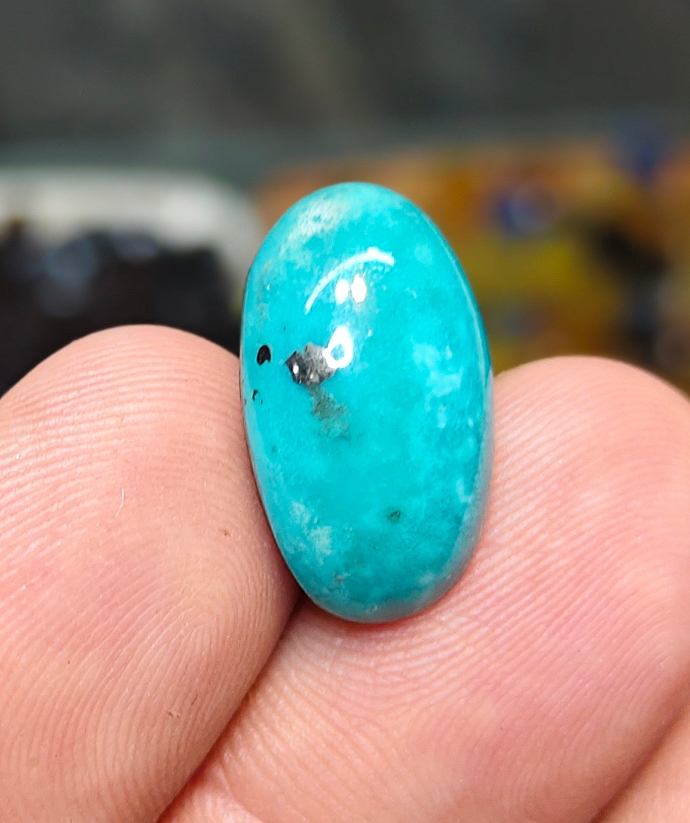 Nisha Puri Feroza (Sona Patti)