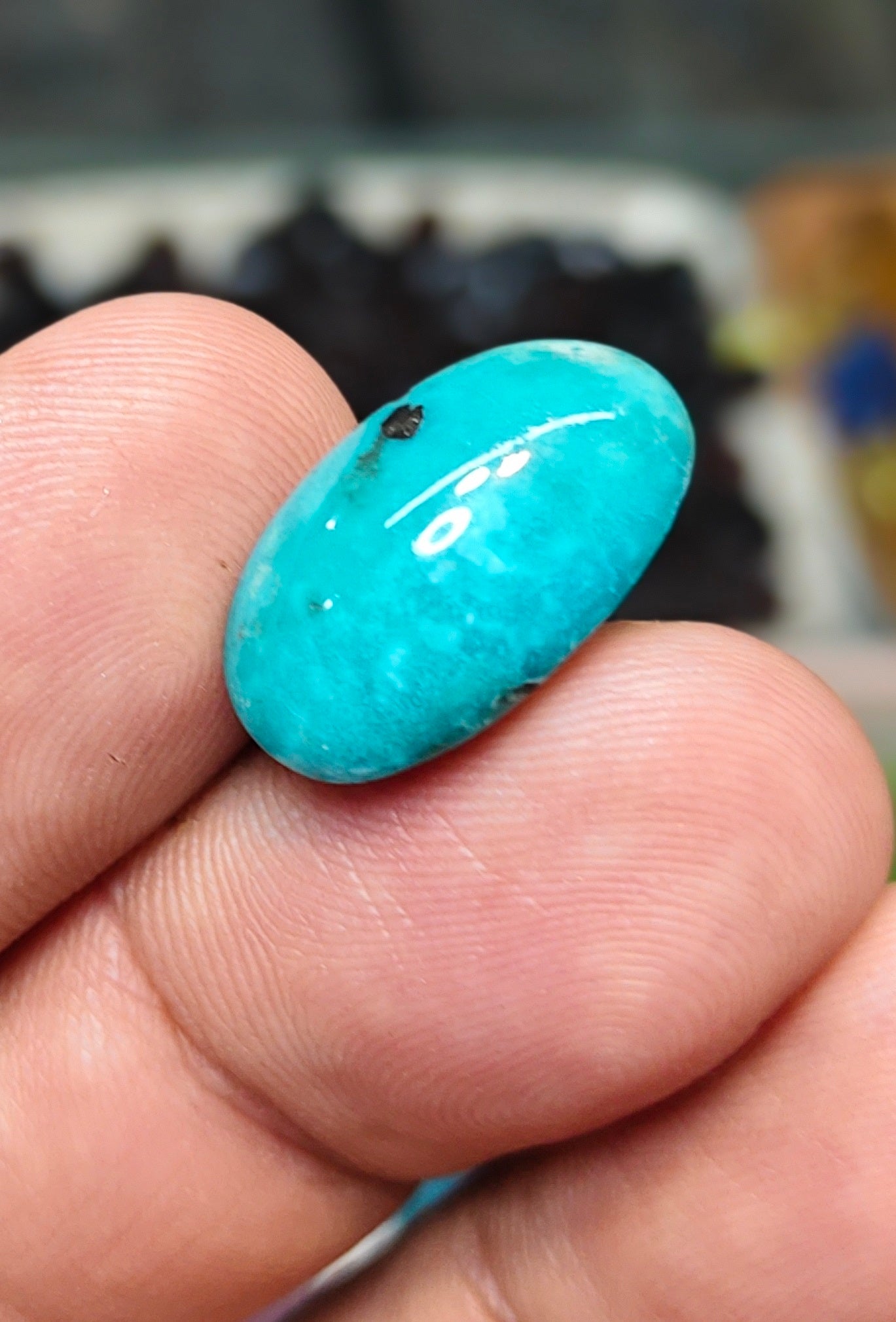 Nisha Puri Feroza (Sona Patti)