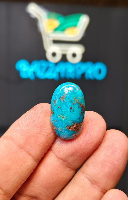 Nisha Puri Feroza (Sona Patti)