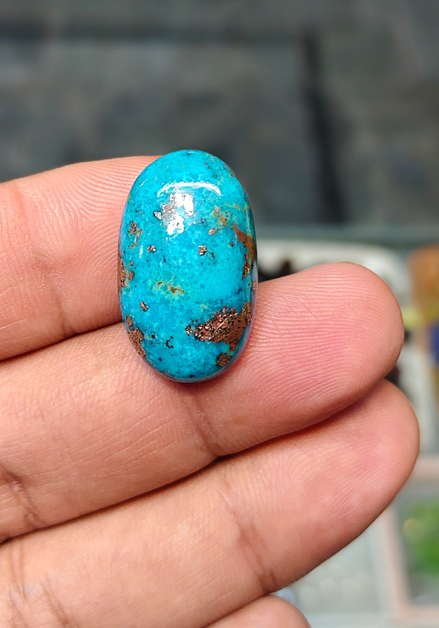 Nisha Puri Feroza (Sona Patti)