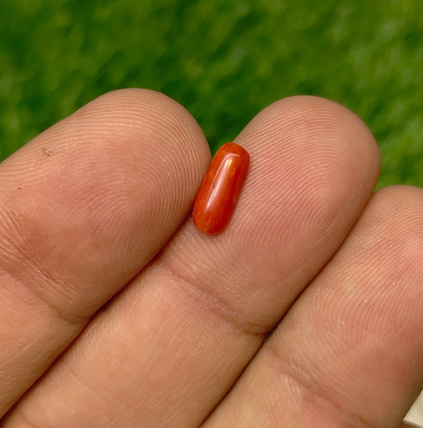 Marjan With Lab certificate