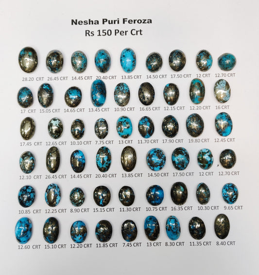 Nesha Puri Feroza