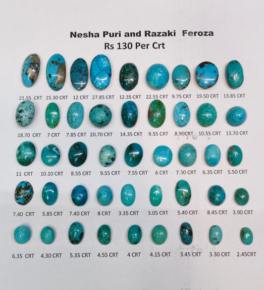 Nesha Puri and Razaki Feroza