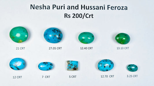Nisha Puri And Hussani Feroza