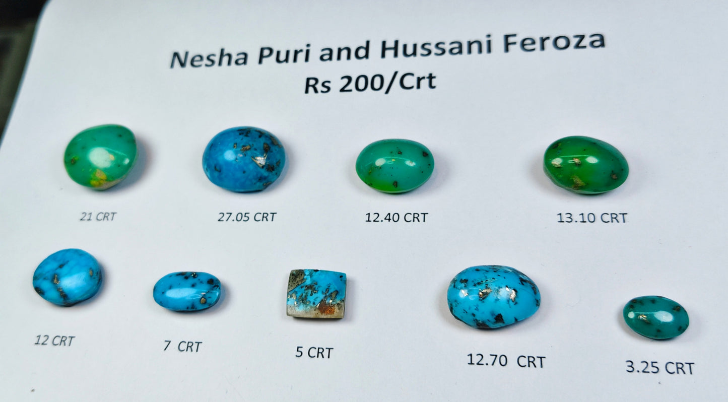 Nisha Puri And Hussani Feroza