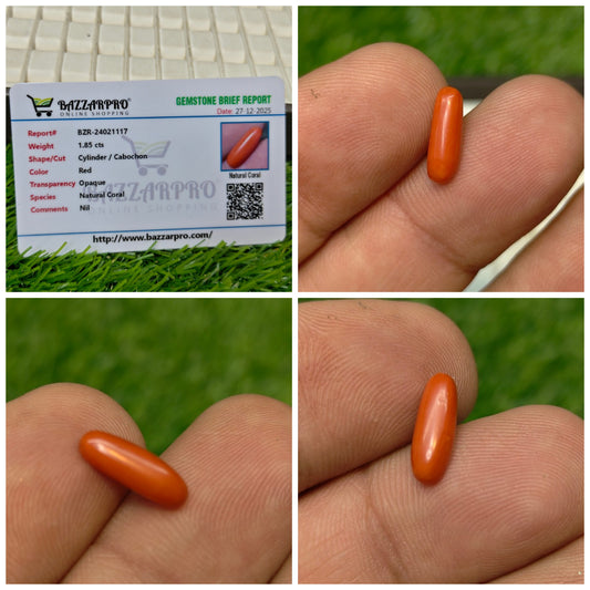 Marjan With Lab certificate