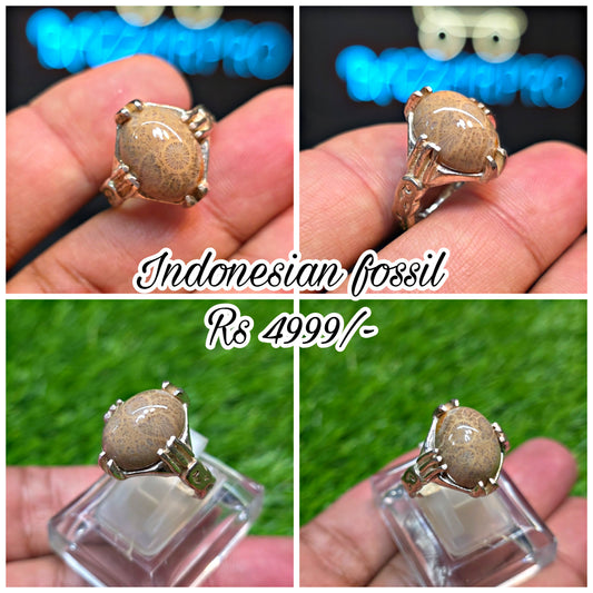 Premium Quality Indonesian Fossil Ring